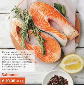 Prezzemolo e Vitale Salmone offerta