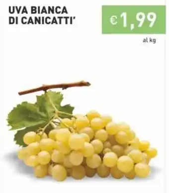 Prezzemolo e Vitale Uva Bianca Di Canicatti' offerta