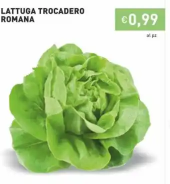 Prezzemolo e Vitale Lattuga Trocadero Romana offerta