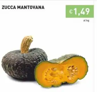Prezzemolo e Vitale Zucca Mantovana offerta