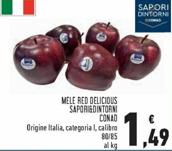 Conad Mele Red Delicious Sapori & Dintorni Conad offerta