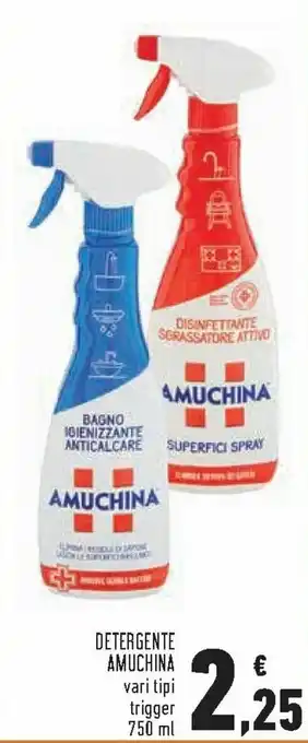 Conad Amuchina Detergente 750 ml offerta