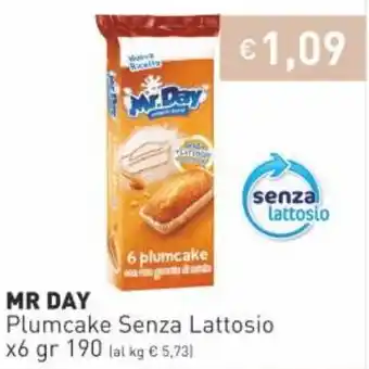 Prezzemolo e Vitale Mr. Day Plumcake Senza Lattosio x6 190gr offerta