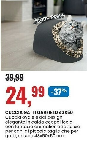 Eurospin Cuccia Gatti Garfield offerta