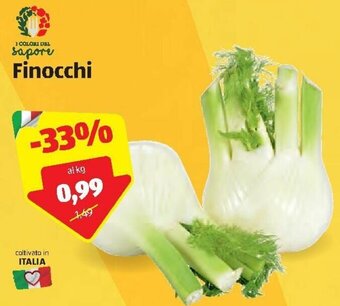 ALDI Finocchi offerta