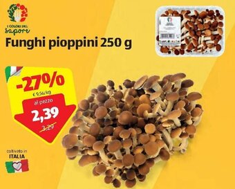 ALDI Funghi pioppini 250 g offerta