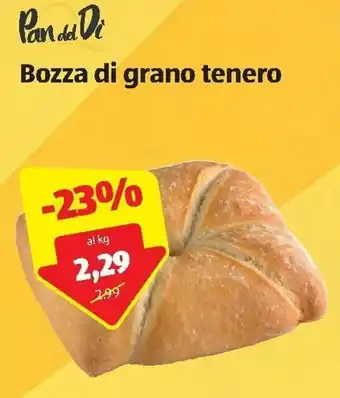 ALDI Bozza di grano tenero offerta