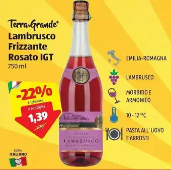 ALDI Terra Grande Lambrusco Frizzante Rosato IGT 750 ml offerta