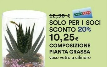 Coop Piante offerta