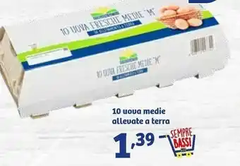 In'S Mercato Uoua Medie Allevate A Terra offerta