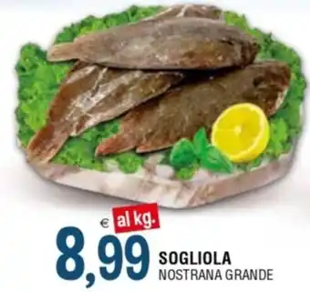 SOGLIOLA NOSTRANA GRANDE