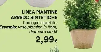 Coop Linea Piantine Arredo Sintetiche offerta