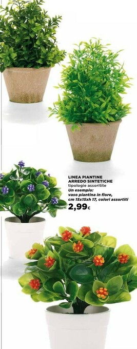 Coop Linea Piantine Arredo Sintetiche offerta