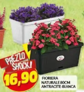 Risparmio Casa FIORIERA NATURALE 80CM ANTRACITE-BIANCA offerta