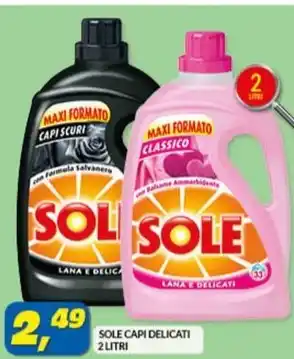Risparmio Casa SOLE CAPI DELICATI 2 LITRI offerta