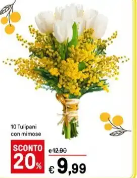 10 Tulipani con mimose