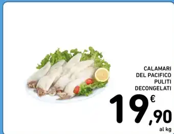 CALAMARI DEL PACIFICO PULITI DECONGELATI