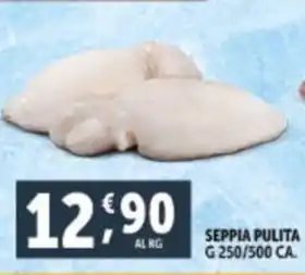 Deco Supermercati SEPPIA PULITA G 250/500 CA. offerta