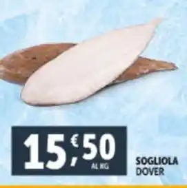 Deco Supermercati SOGLIOLA DOVER offerta