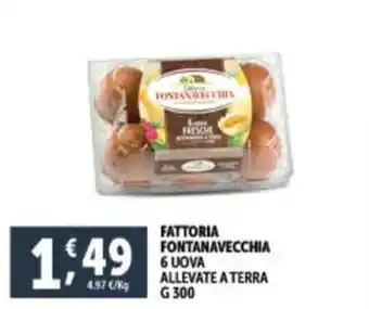 Deco Supermercati FATTORIA FONTANAVECCHIA 6 UOVA ALLEVATE A TERRA G 300 offerta