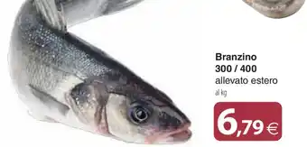 Branzino 300/400 allevato estero