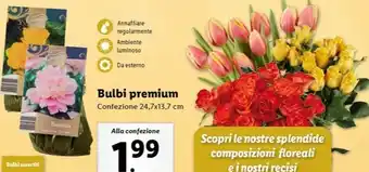 Lidl Bulbi premium offerta