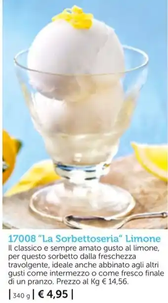 La Sorbettoseria" Limone