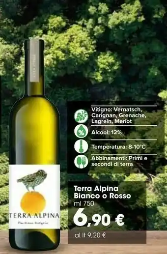 Carrefour Market Terra Alpina Vino Bianco 750 Ml offerta