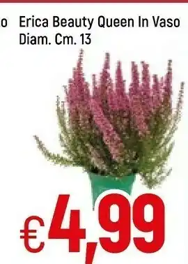 Famila Erica Beauty Queen offerta