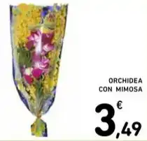 Spazio Conad ORCHIDEA CON MIMOSA offerta