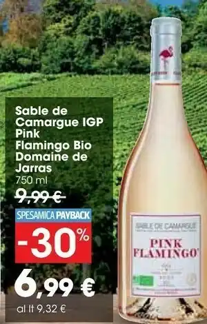 Carrefour Market Domaine De Jarras Sable De Camargue Igp Pink Flamingo Bio offerta