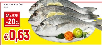 Galassia Orata Fresca offerta