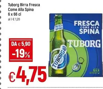 Galassia Tuborg Birra offerta