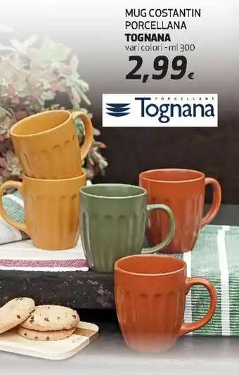Ipercoop Tognana Mug Costantin Porcellana 300ml offerta