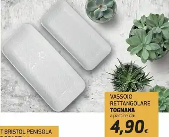 Ipercoop Tognana Vassoio Rettangolare offerta