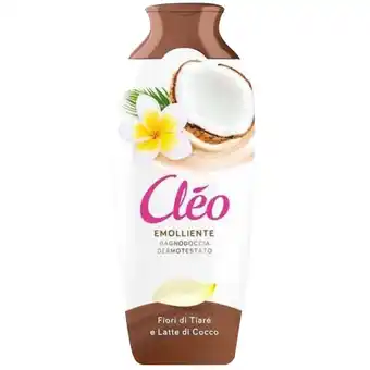 CLEO