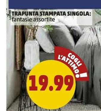 PENNY Trapunta Stampata Singola offerta