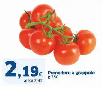 Ok Sigma Pomodoro a grappolo g 750 offerta