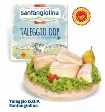 Ok Sigma Taleggio D.O.P. Santangiolina offerta