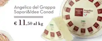 Conad City Angelico del Grappa Sapori&Idee Conad offerta