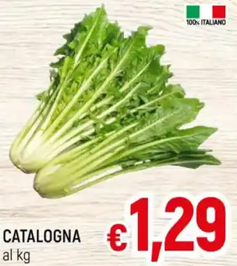 A&O CATALOGNA offerta