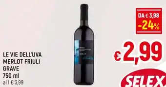 A&O LE VIE DELL'UVA MERLOT FRIULI GRAVE 750 ml offerta