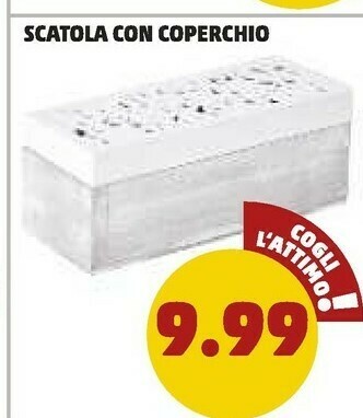 PENNY Scatola Con Coperchio offerta