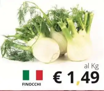 Supermercati Visotto FINOCCHI offerta