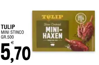 Al Discount TULIP MINI STINCO GR.500 offerta