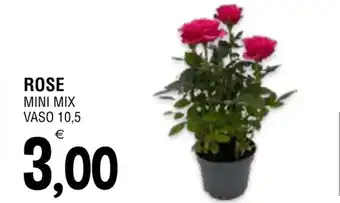 Al Discount ROSE MINI MIX VASO 10,5 offerta
