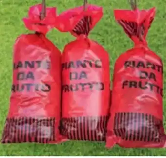 Bennet PIANTE DA FRUTTO IN PACK tipi vari offerta