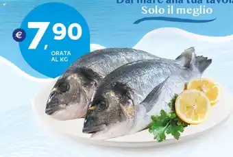Extra Supermercati ORATA offerta