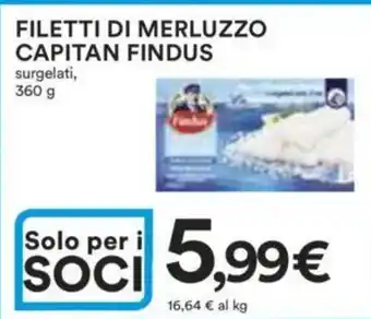 Ipercoop FILETTI DI MERLUZZO CAPITAN FINDUS surgelati, 360 g offerta