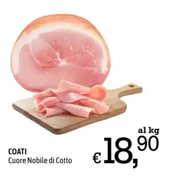A&O COATI Cuore Nobile di Cotto offerta